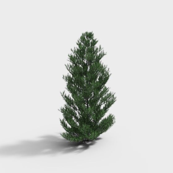 ต้นไม้ 176