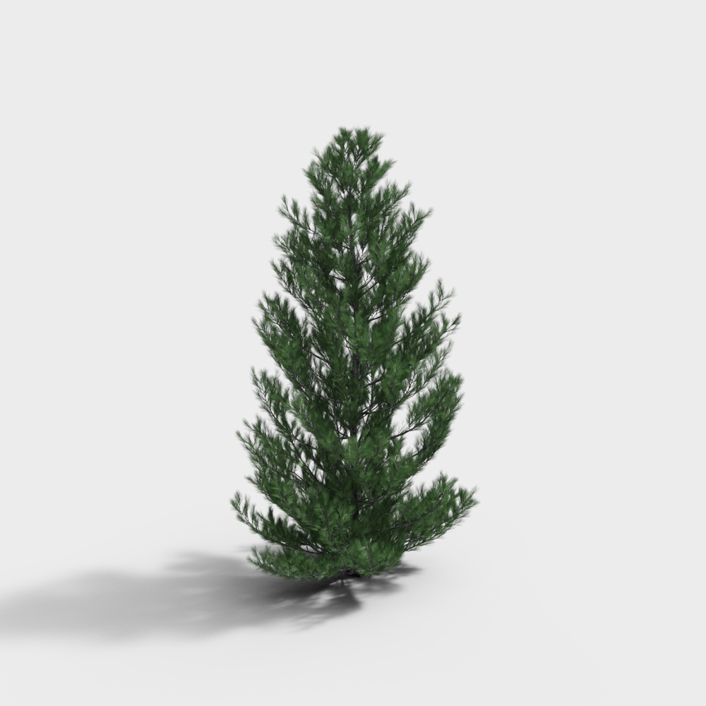 albero 177