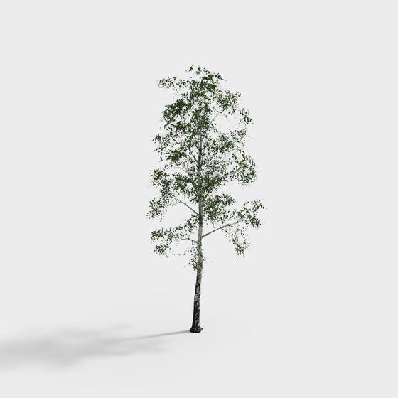 Realistic Low-Polygon 3D Birch Tree Model