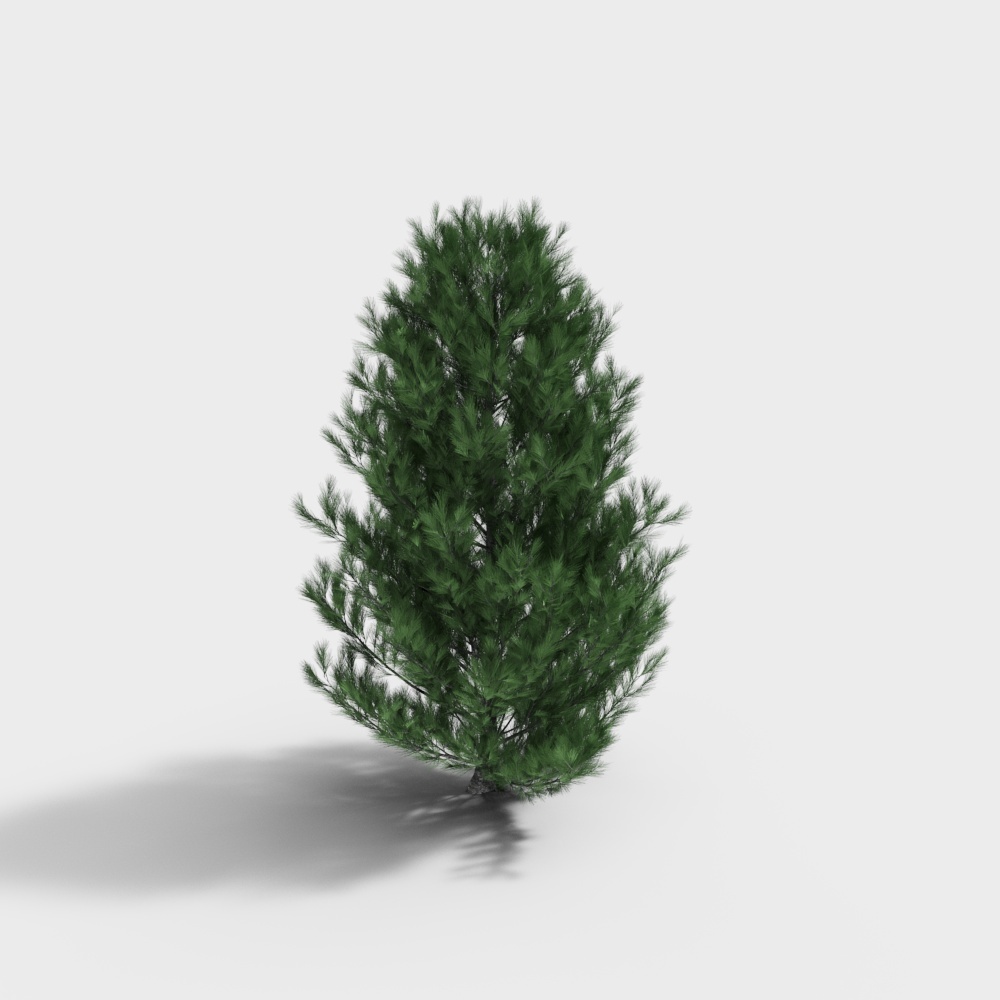 albero 175