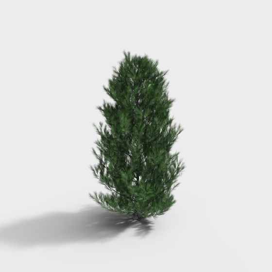 Realistic Pine Tree 3D Model