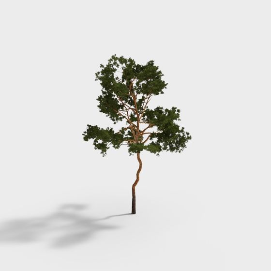 Realistic Low-Poly Pine Tree 3D model