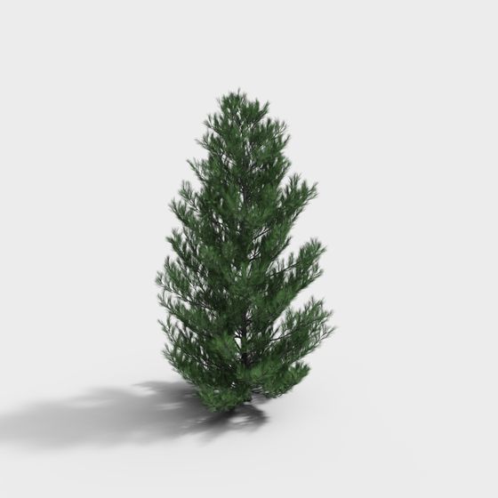 Realistic Lush Pine Tree 3D model