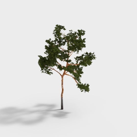 Lifelike 3D Pine Tree Model for Various Applications