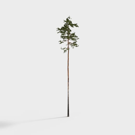 Realistic Low-Polygon Pine Tree 3D model