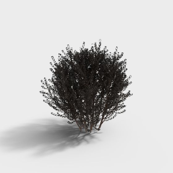 Low Poly Detailed Bush 3D Model