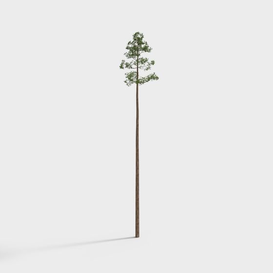 Realistic Low-Poly Pine Tree 3D model