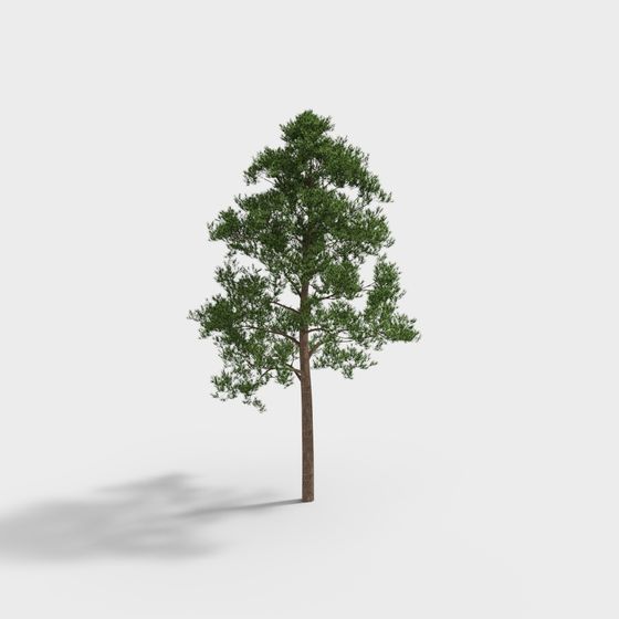 Realistic Low-Polygon Pine Tree 3D model