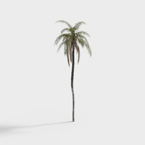Low-Poly Tropical Palm Tree 3D model