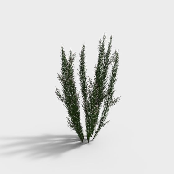 Low-Polygon Wildflower Cluster 3D model for Creative Projects