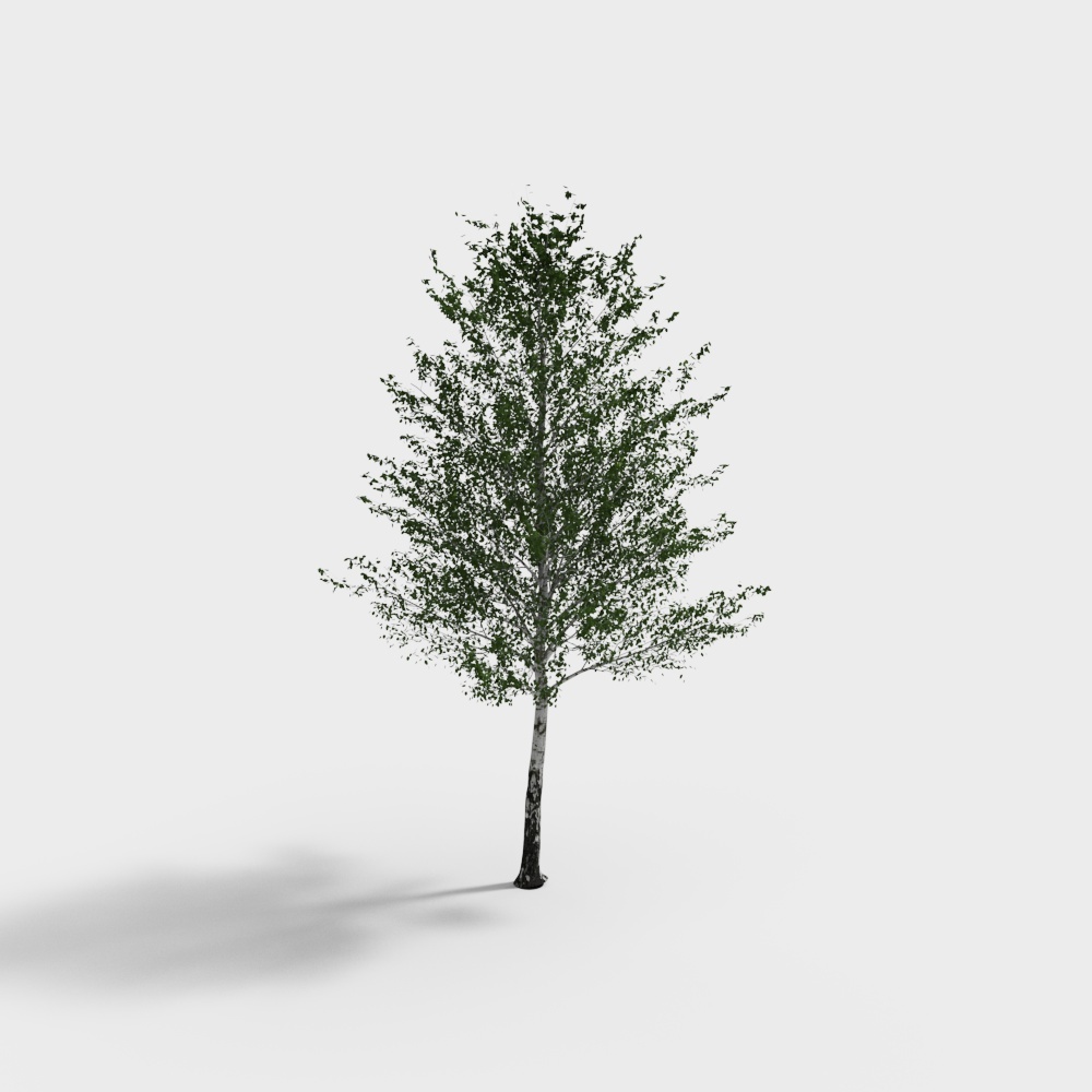tree 181