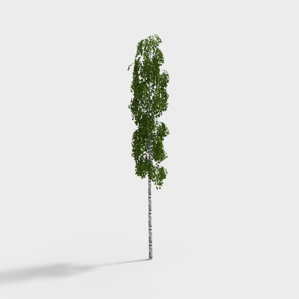 Vivid Low-Poly Birch Tree 3D model