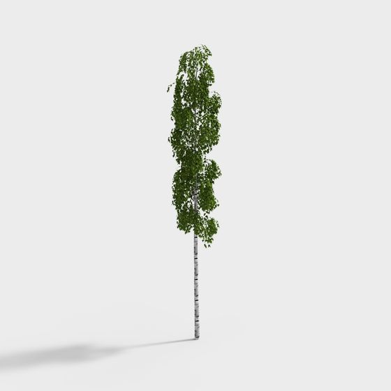 Vivid Low-Poly Birch Tree 3D model