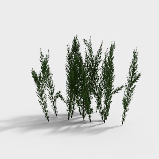 Forest Sprite 3D Model for Nature Inspired Designs