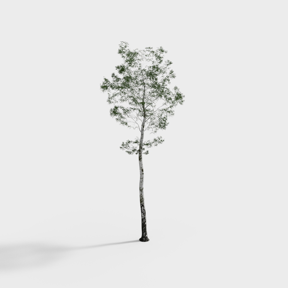 Tree 182