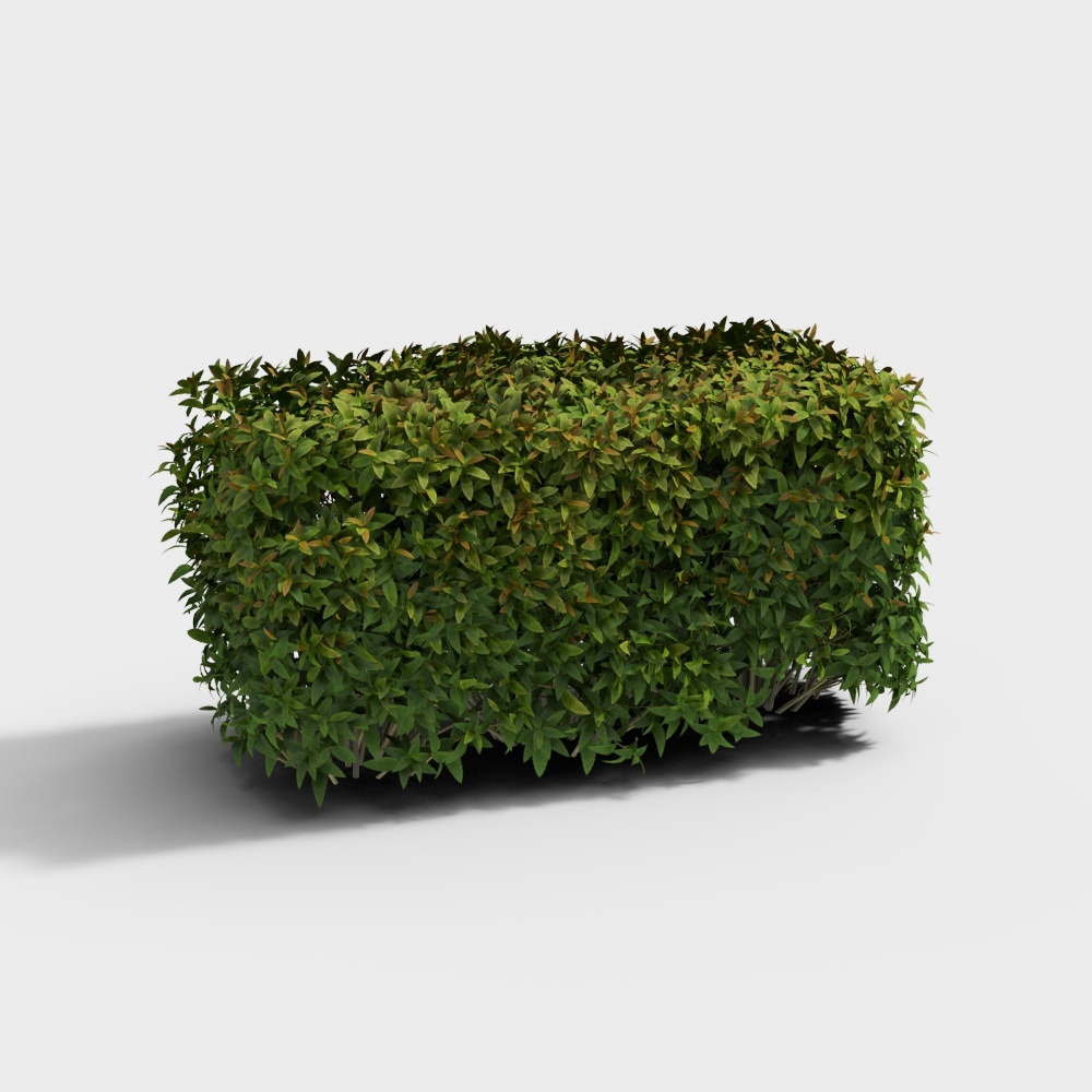 Shrub 831-2-1-YJ