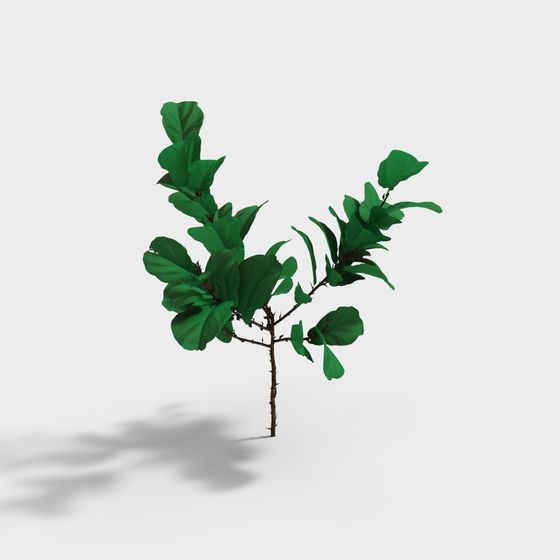 Lush Wild Grass 3D model