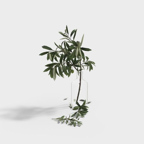 Olive Branch in Glass Bottle 3D model