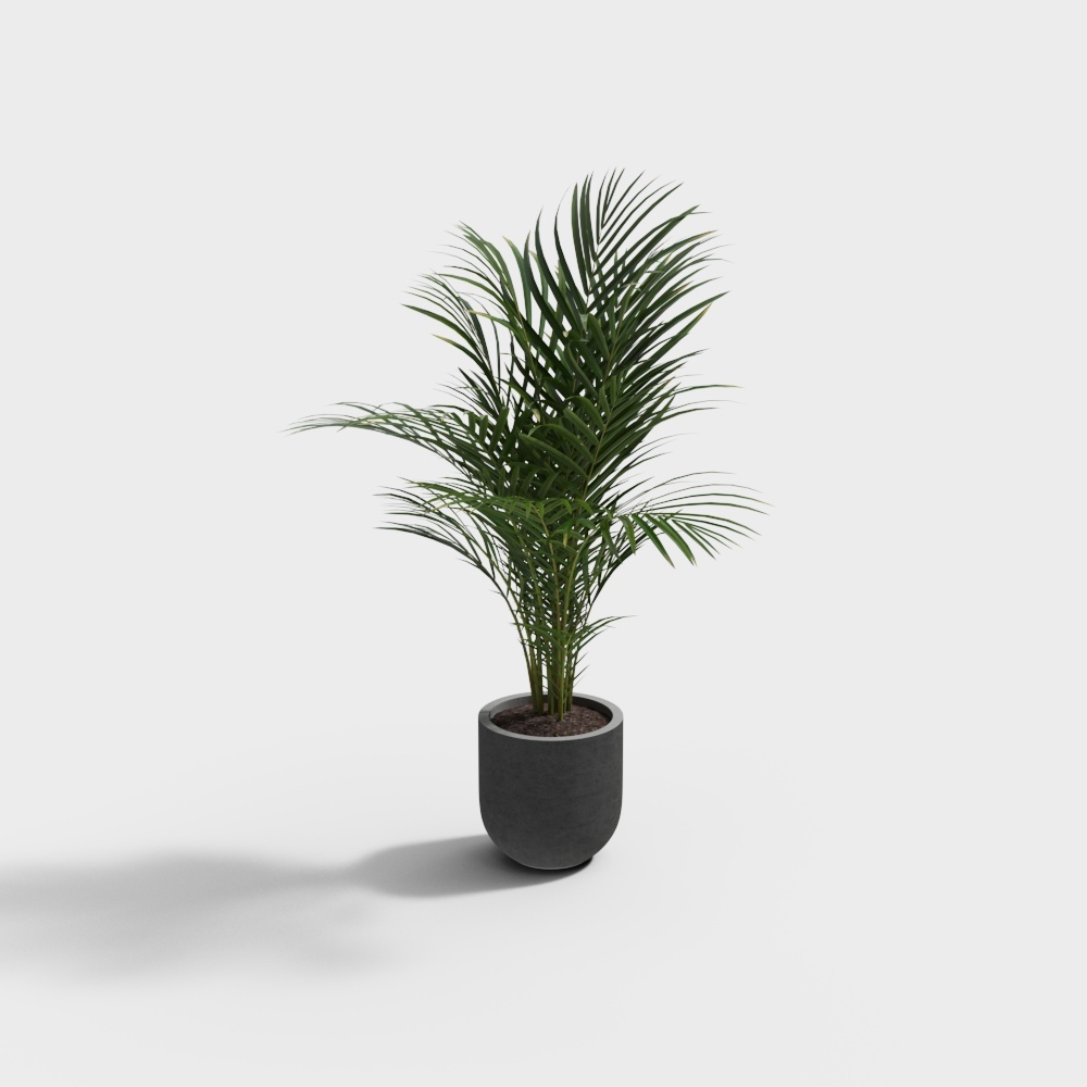 Vibrant Palm Tree 3D Model – Realistic Tropical Decor