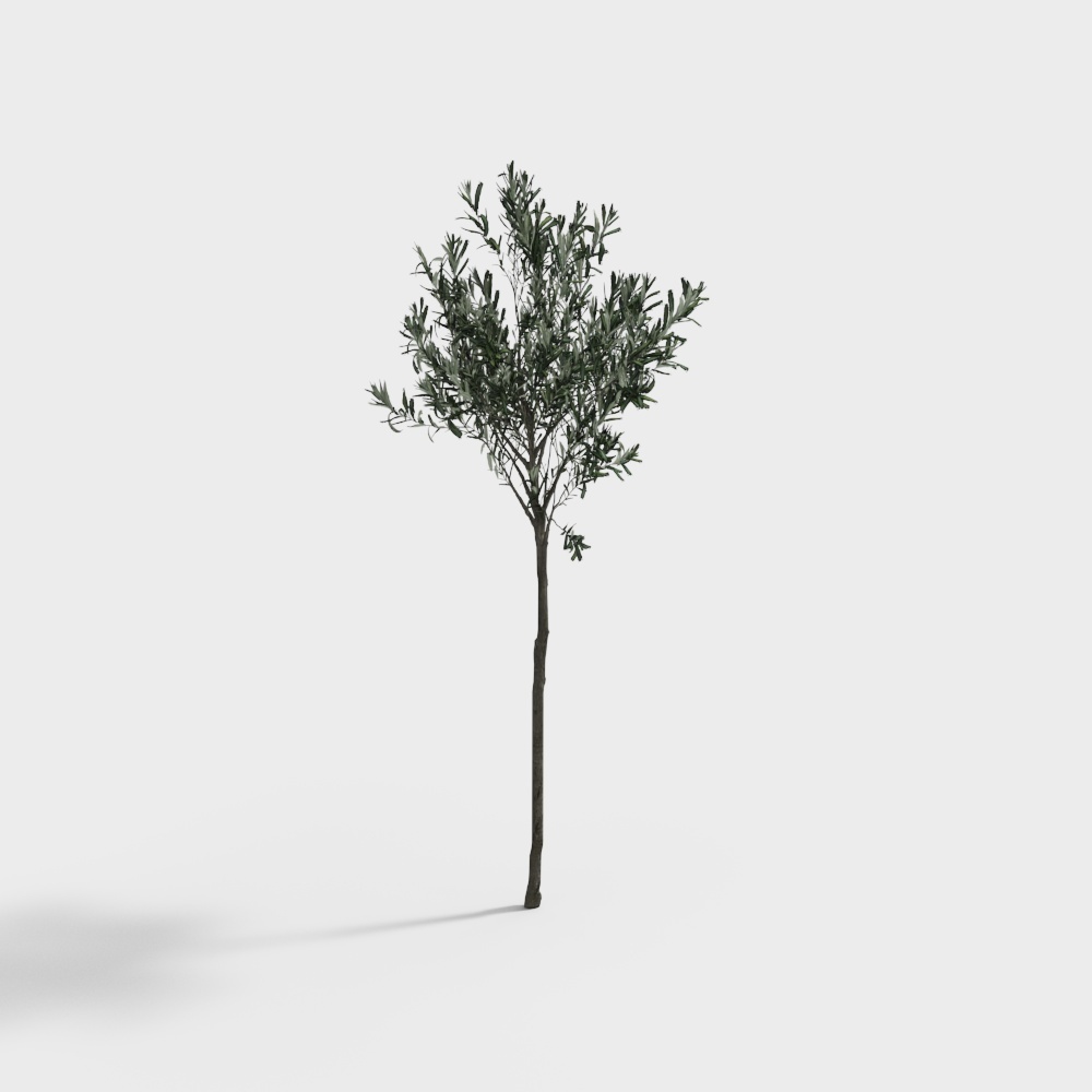 Vibrant Olive Tree 3D Model for Creative Projects