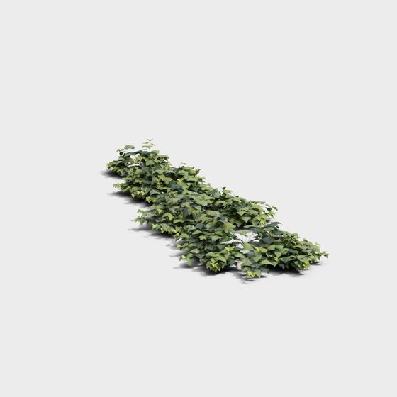 Lush Vining Plant 3D Model