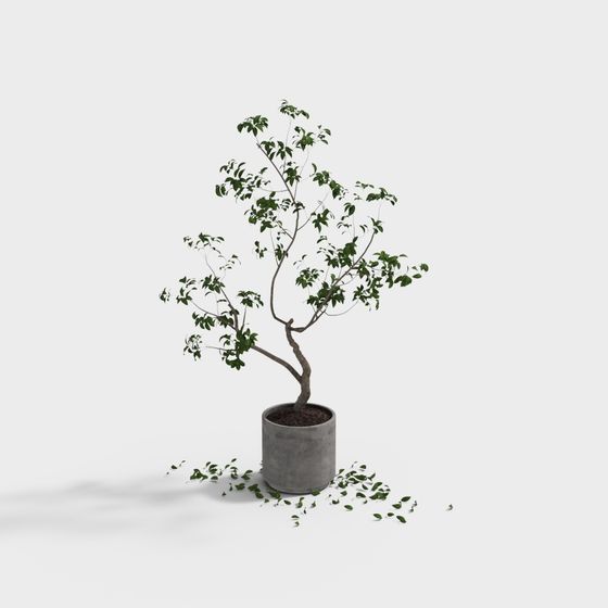 Lively Potted Plant 3D Model