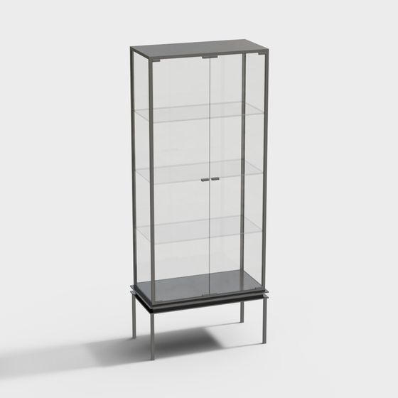 Sleek Glass Display Cabinet 3D model