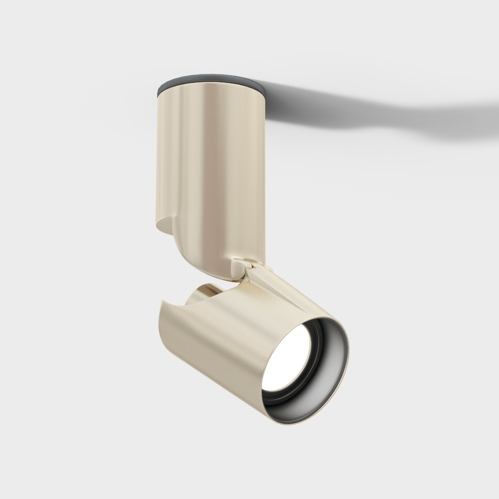 Modern spotlight gold downlight