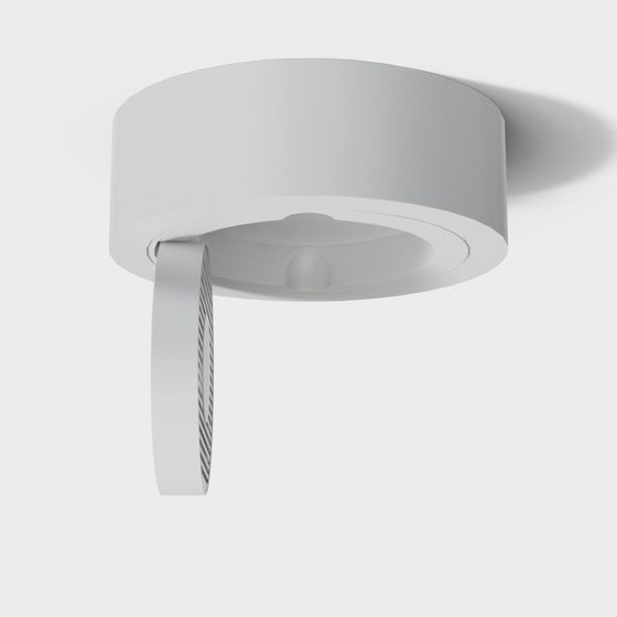 Unique Ring Pendant Light 3D model