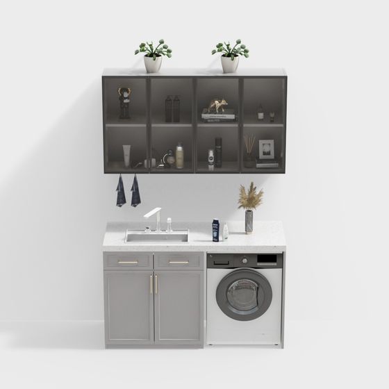 Laundry Room Oasis 3D model