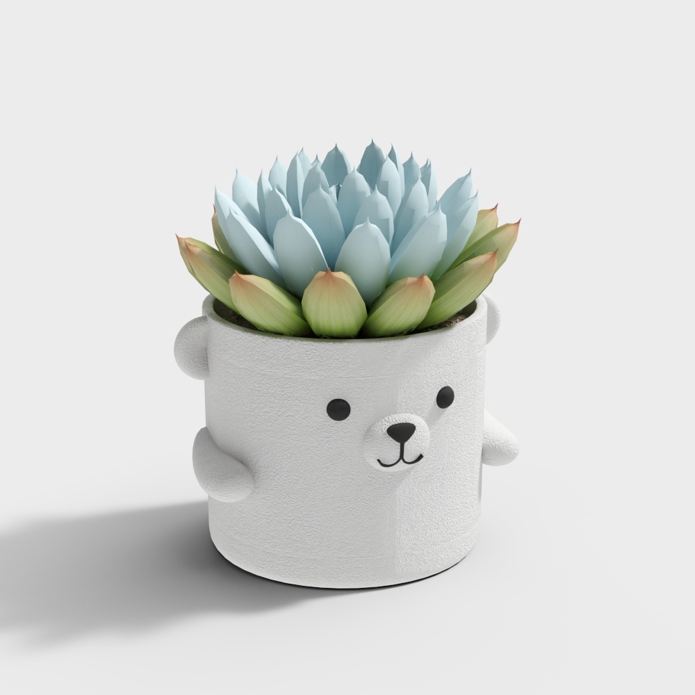 Potted plants