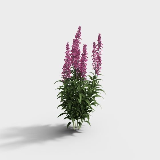 Purple Flower Bush 3D model