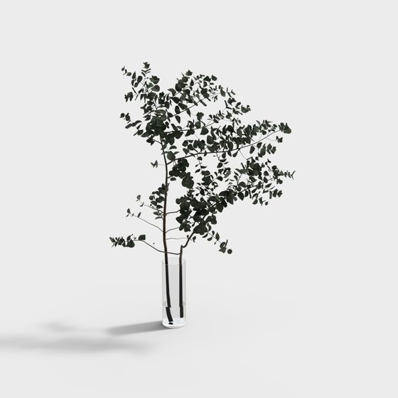 Elegant Eucalyptus Tree 3D model for Creative Projects
