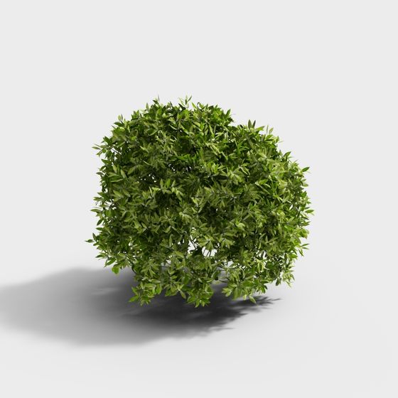 Dome Plant 3D Model for Creative Projects