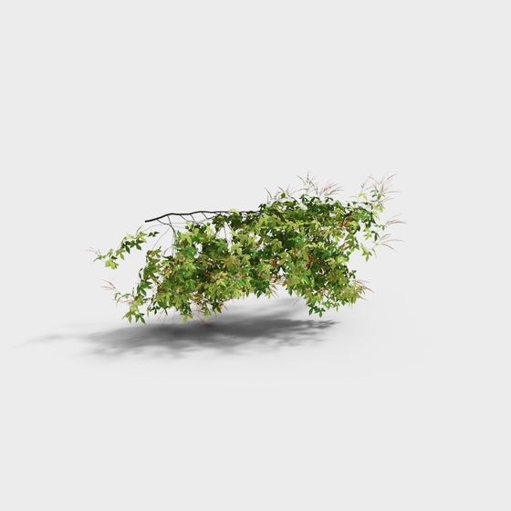 Vine Plant 3D Model for Designers and Developers