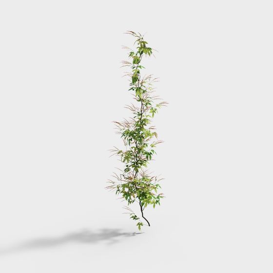 Forest Spirit Low Poly 3D Model