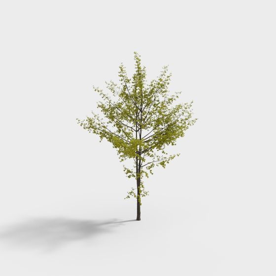Vibrant 3D Tree Model for Creative Projects