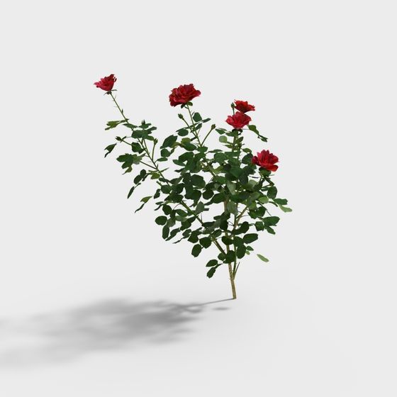 Realistic Low-Poly Rose 3D Model