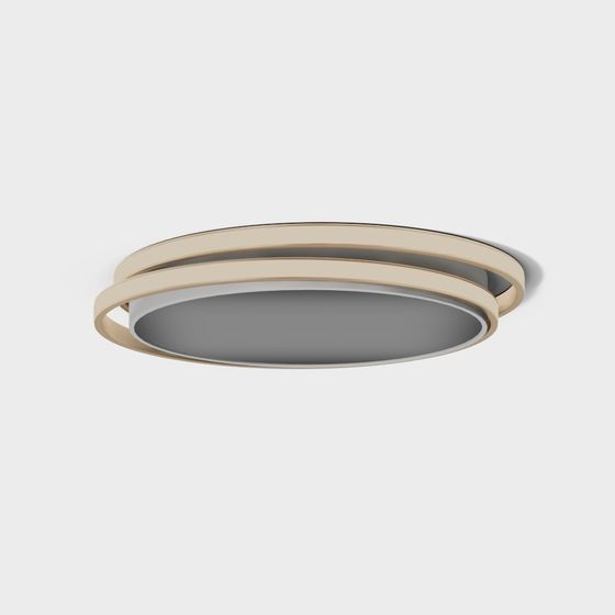 Elegant Round Ceiling Light 3D model