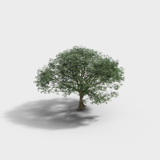 Realistic Low-Poly Oak Tree 3D model