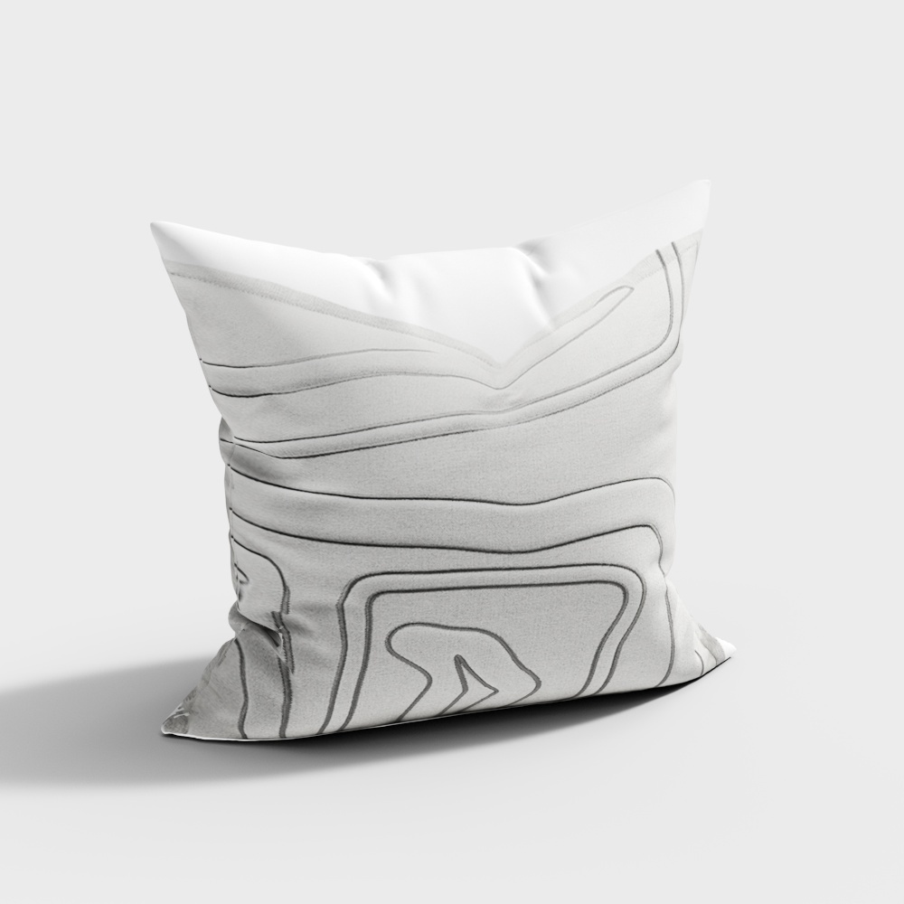 Modern Pillow