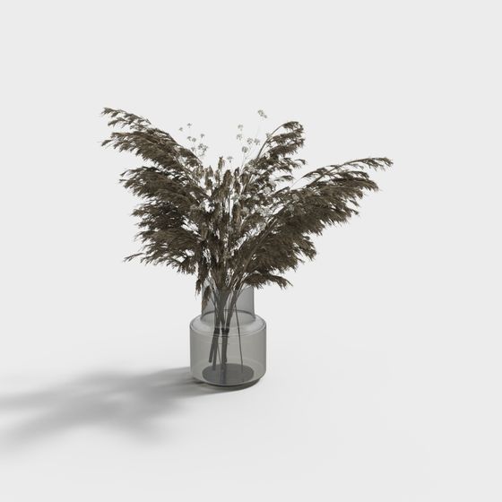 Dried Flower Vase 3D model