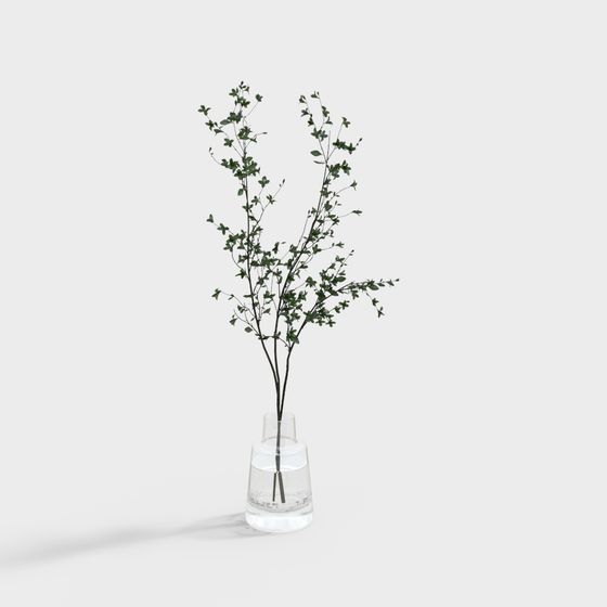 植物の植え付け