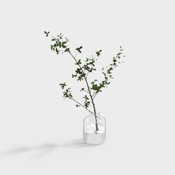 Greenery in a Glass Bottle 3D model