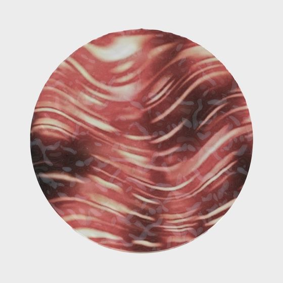 Realistic Meat Slice 3D Model