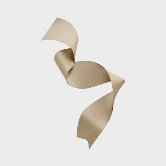 Streamlined Ribbon 3D model