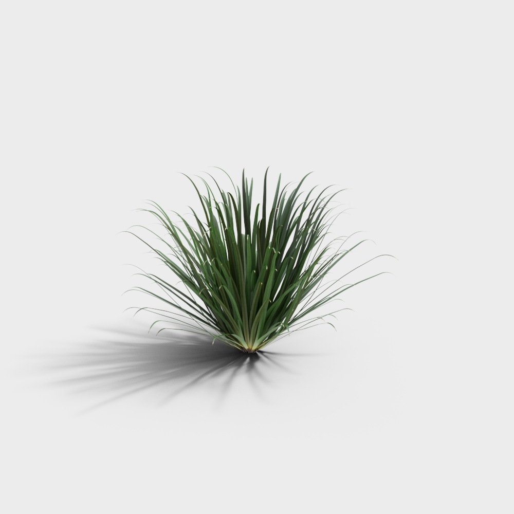 Grass-YJ