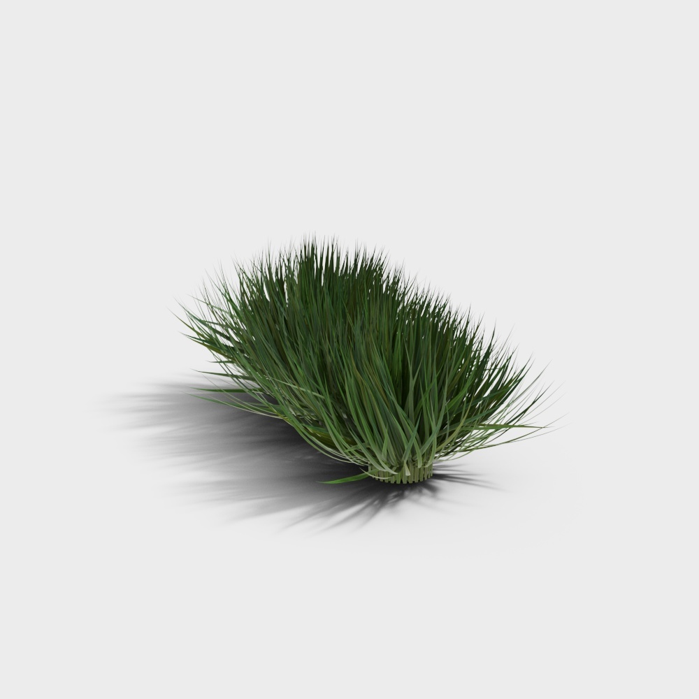 Grass-YJ