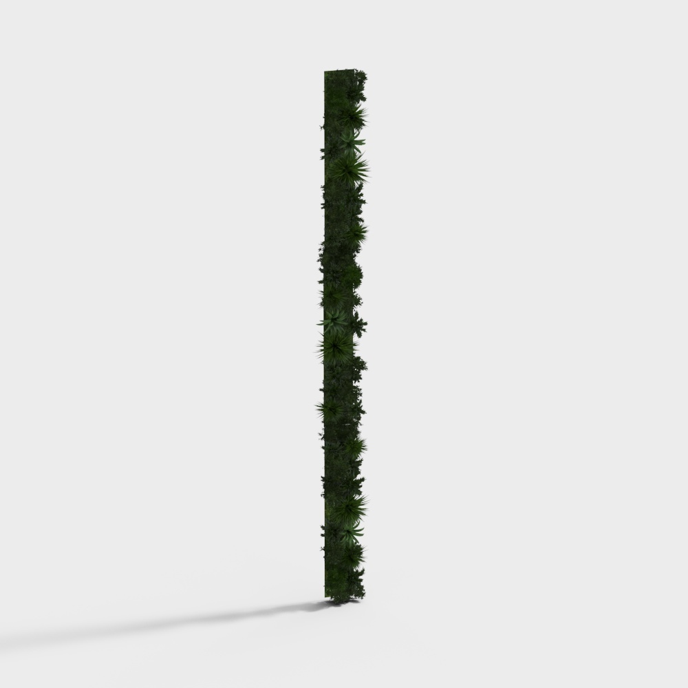 Mur de coquillage de plante