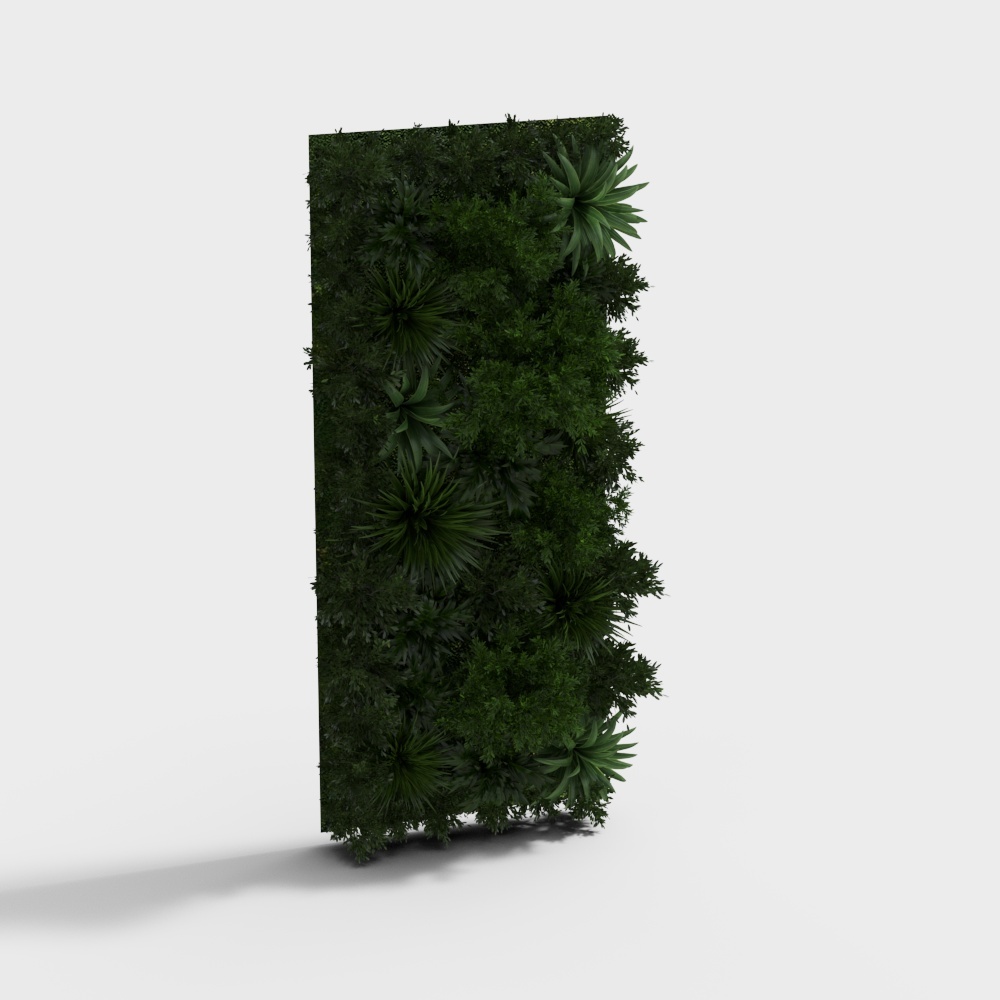 Mur de coquillage de plante